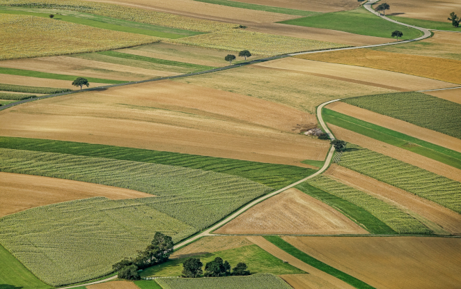 Il modello Novamont di bioeconomia basato su bioraffinerie integrate alla 